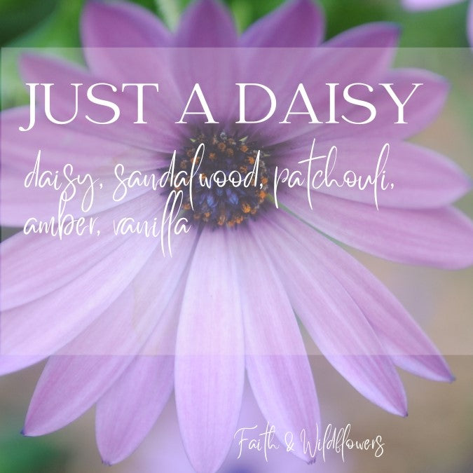 Just a Daisy