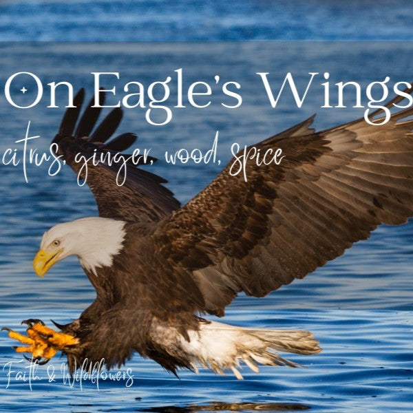 On Eagle's Wings