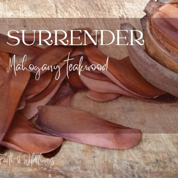 Surrender